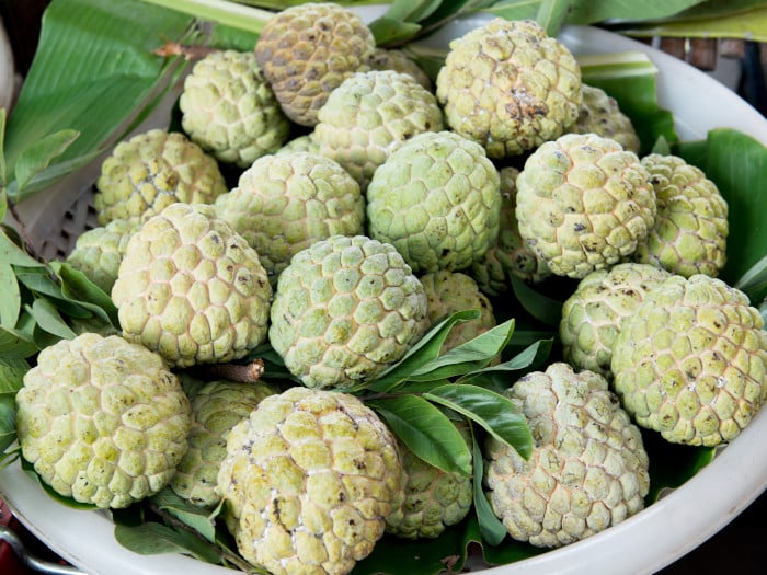 Benefits Of Custard Apple For Good Health