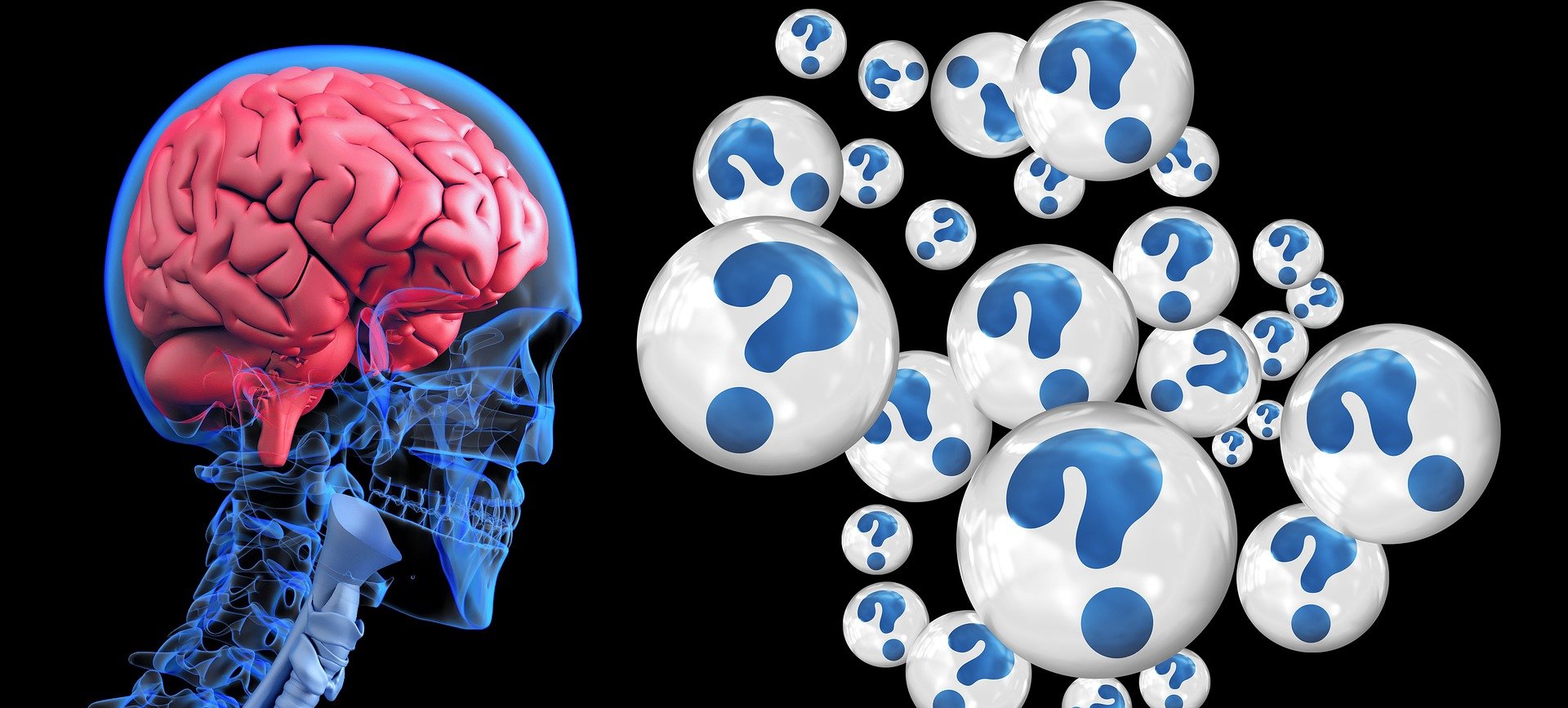 Which Is The Most Commonly Diagnosed Neurocognitive Disorder?